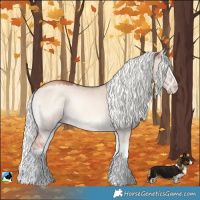 Horse Color:Gold Champagne Onyx Mushroom Sabino Splash Rabicano