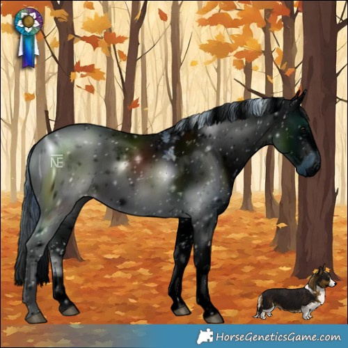 Horse Color:ERROR: UNKNOWN ANOMALY