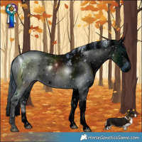 Horse Color:ERROR: UNKNOWN ANOMALY