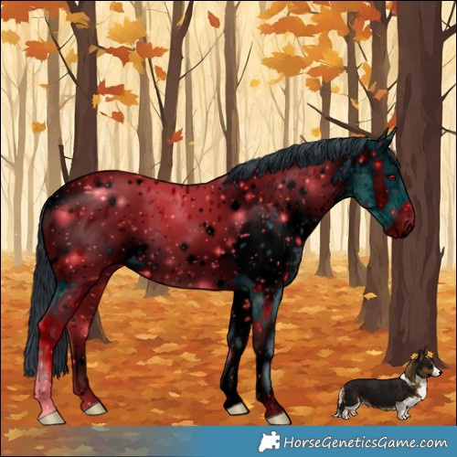 Horse Color:ERROR: UNKNOWN ANOMALY