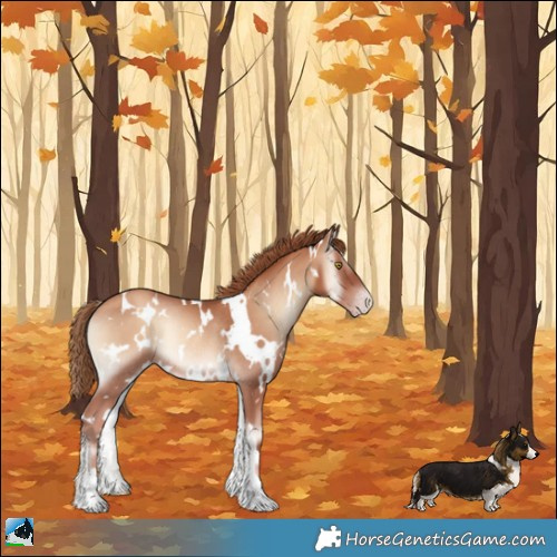 Horse Color:White Spotted Gold Champagne Onyx Rabicano 