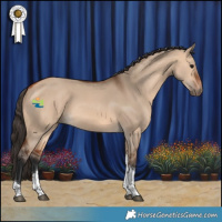 Horse Color:Bay Dun Tobiano 
