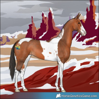 Horse Color:White Spotted Bay Tobiano