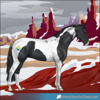 Horse Color:Black Tobiano 