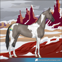 Horse Color:Grullo Tobiano 