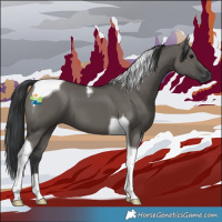 Horse Color:Grullo Tobiano