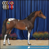 Horse Color:Bay Tobiano