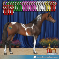 Horse Color:Bay Tobiano