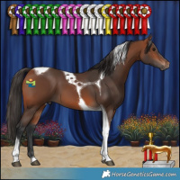 Horse Color:Bay Tobiano 