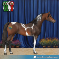 Horse Color:Bay Tobiano