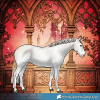 Horse Color:White Spotted Chestnut 