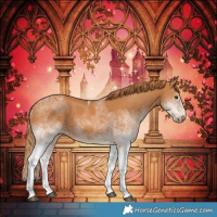 Horse Color:White Spotted Chestnut 