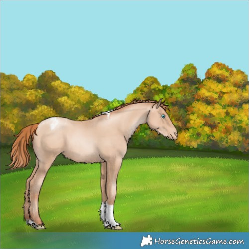 Horse Color:Sable Champagne Pearl Tobiano Varnish 