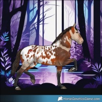 Horse Color:Bay Dun Near Leopard and Bay Near Leopard