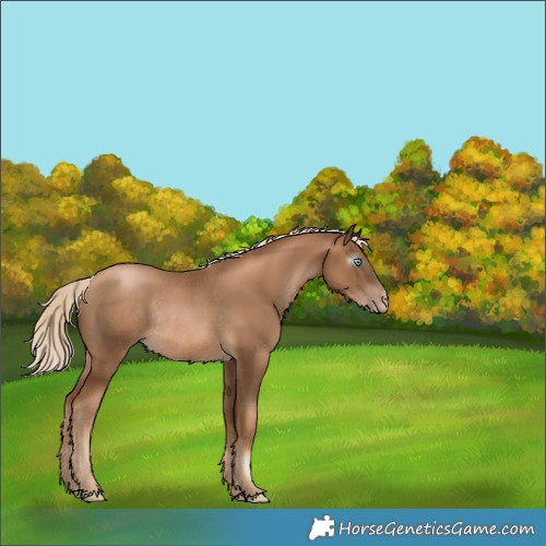 Horse Color:Gray Chocolate Palomino Pearl Rabicano 