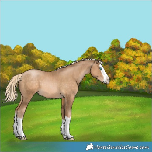 Horse Color:Chocolate Palomino Pearl Splash 