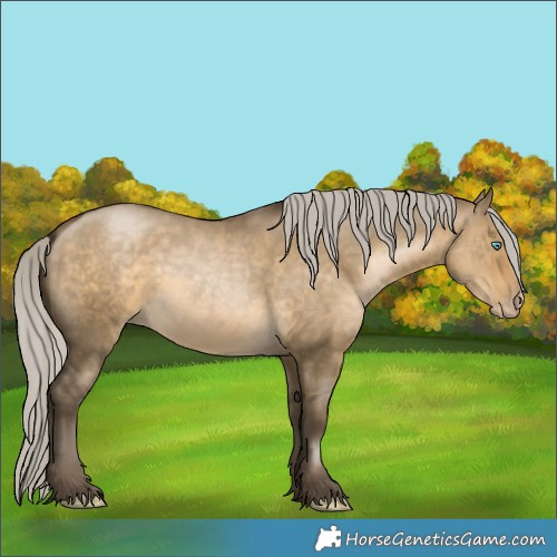 Horse Color:Gray Silver Buckskin Pearl Dun Rabicano 