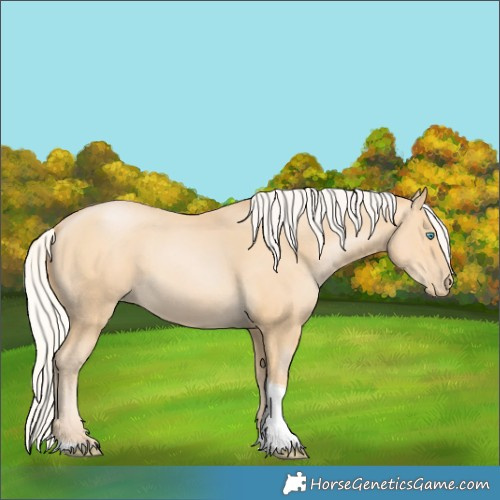Horse Color:Silver Buckskin Pearl Tobiano 