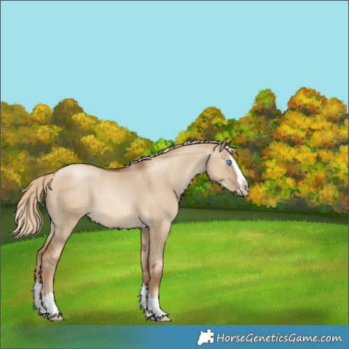 Horse Color:Gray Chocolate Palomino Pearl Dun Splash