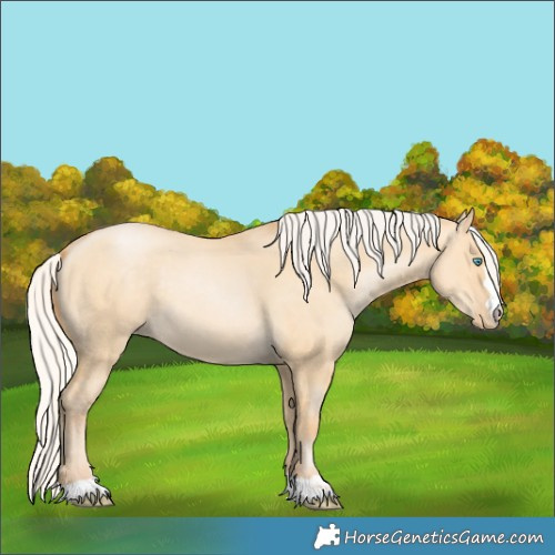 Horse Color:Silver Buckskin Pearl Dun 