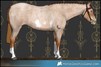 Horse Color:Gray Red Roan Pearl Tobiano Frame 