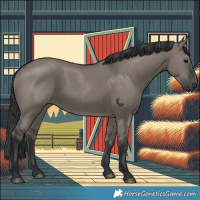 Horse Color:Grullo 