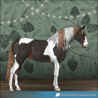 Horse Color:Liver Chestnut Tobiano 