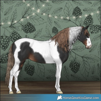 Horse Color:Liver Chestnut Tobiano 