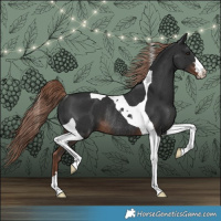 Horse Color:Liver Chestnut Tobiano Rabicano 