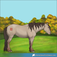 Horse Color:Classic Champagne Dun