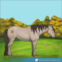 Horse Color:Classic Champagne Dun 