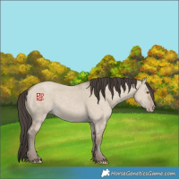 Horse Color:Classic Champagne Dun 