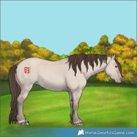 Horse Color:Classic Champagne Dun