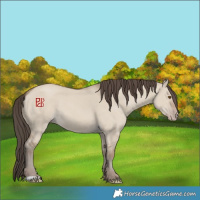 Horse Color:Classic Champagne Dun 