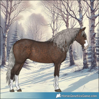 Horse Color:Silver Brown