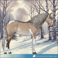 Horse Color:Silver Brown Dun Tobiano 