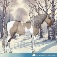 Horse Color:Silver Brown Dun Tobiano Rabicano