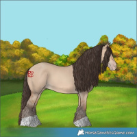 Horse Color:Amber Champagne Dun 