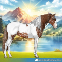 Horse Color:Chestnut Tobiano Snowcap