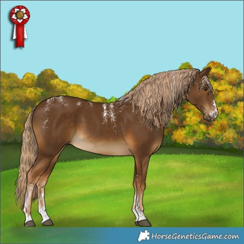 Horse Color:Powder White Chocolate Palomino 