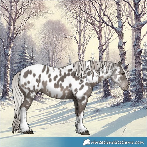 Horse Color:White Spotted Silver Black Appaloosa Rabicano 
