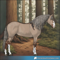 Horse Color:Liver Red Dun 