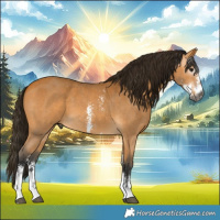 Horse Color:Gray Buckskin Sabino
