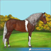 Horse Color:Silver Brown Tobiano