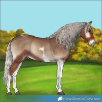 Horse Color:Silver Blue Onyx Tobiano