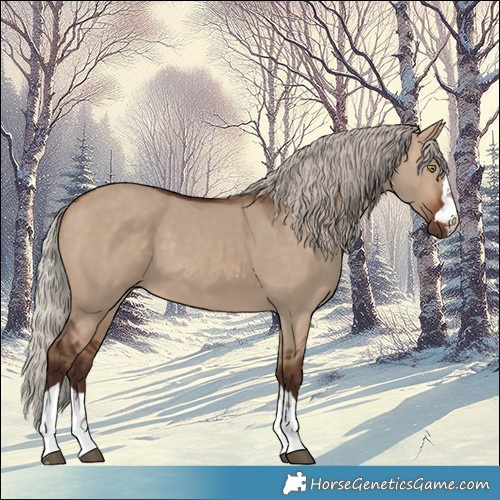 Horse Color:Silver Brown Dun 