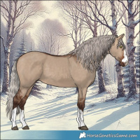 Horse Color:Silver Brown Dun