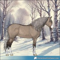 Horse Color:Silver Brown Dun 