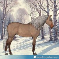 Horse Color:Silver Brown Dun