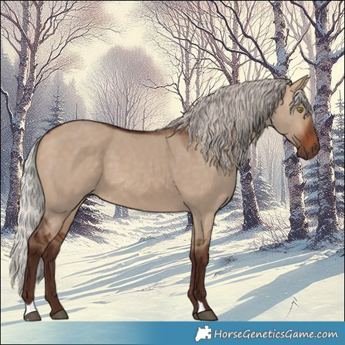 Horse Color:Silver Brown Dun 